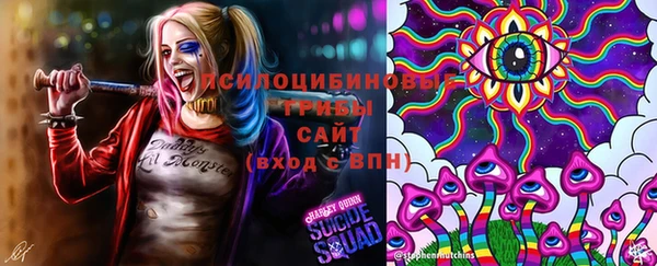 метамфетамин Алексеевка