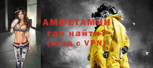 гидра Каменка