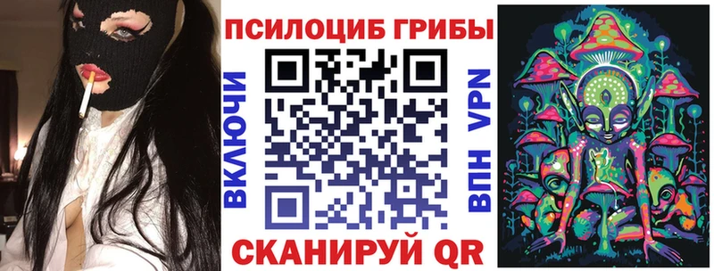 это как зайти  Сочи  Псилоцибиновые грибы Psilocybine cubensis 